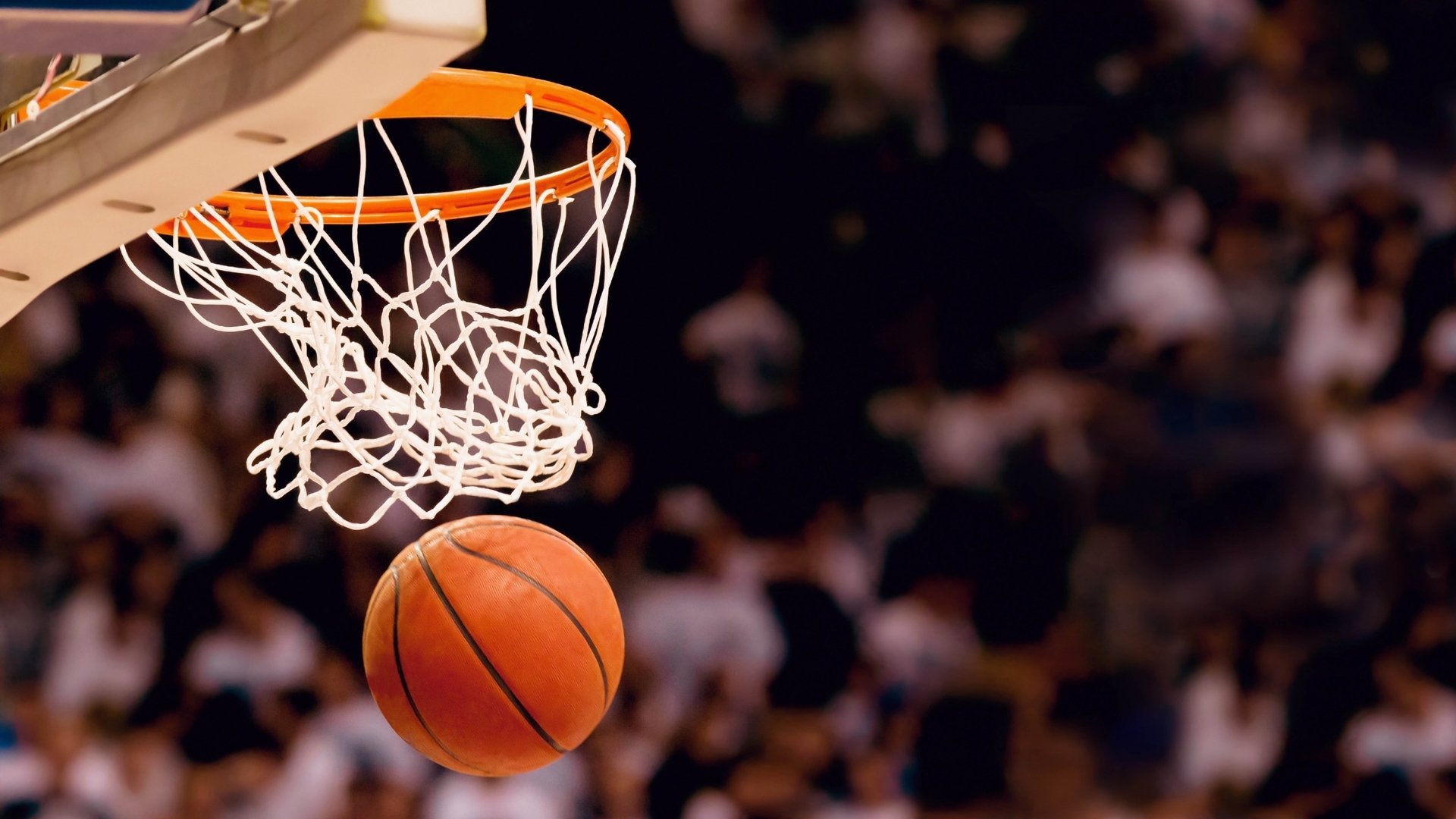 郁金香风暴席卷莱茵河,橙衣军团三球碾压德国,登贝莱率法国暗度陈仓?2026世界杯D组关键战全景复盘